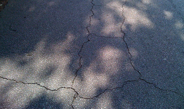 Block crack in Paved Asphalt Road